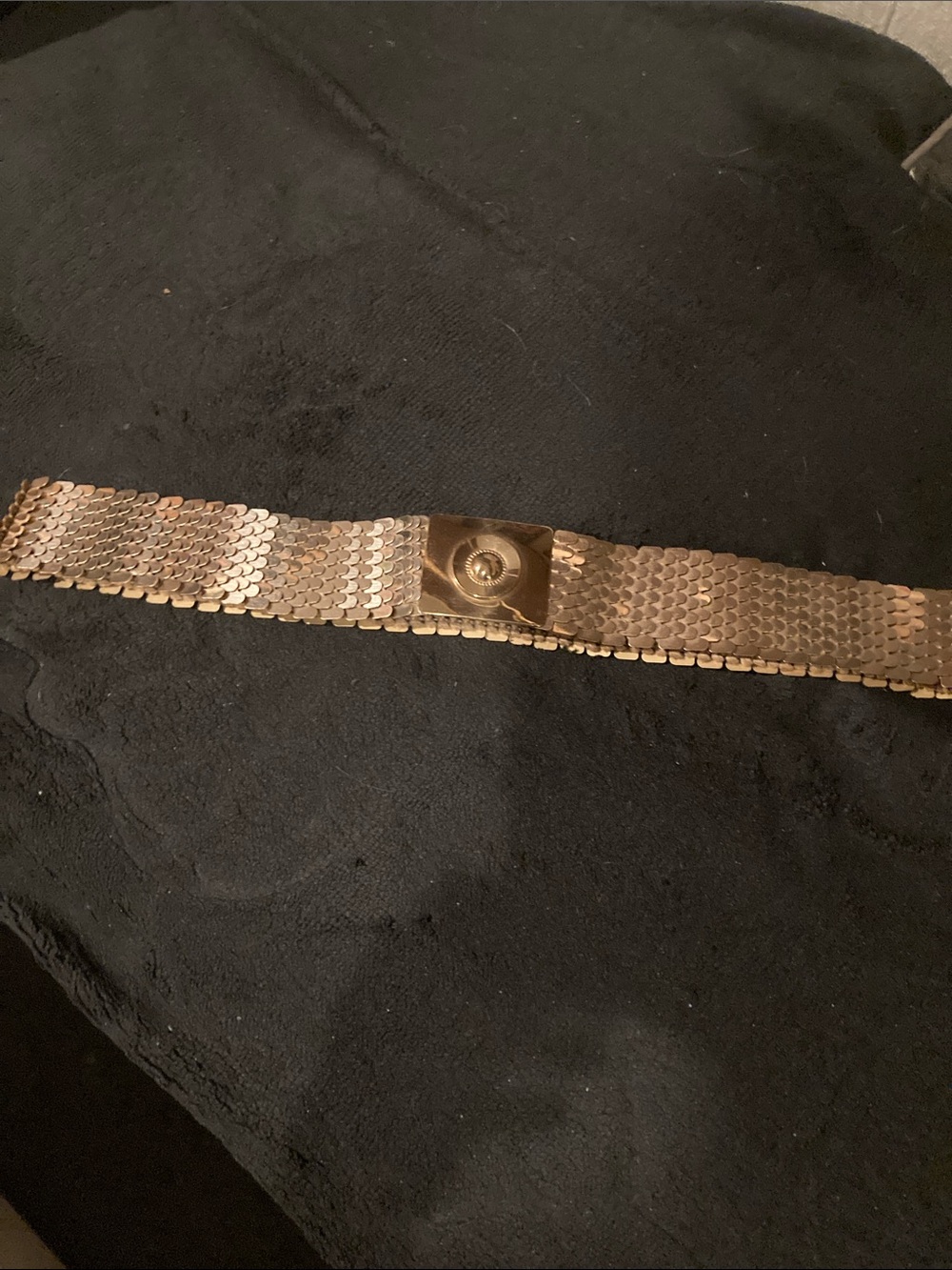 Vintage expandable fish scale stretch belt